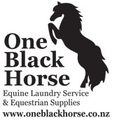 One Black Horse